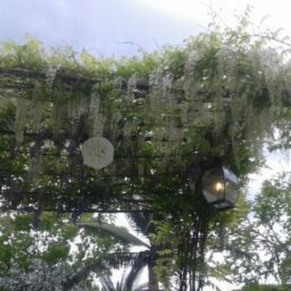 Meet your Posher, Nyla